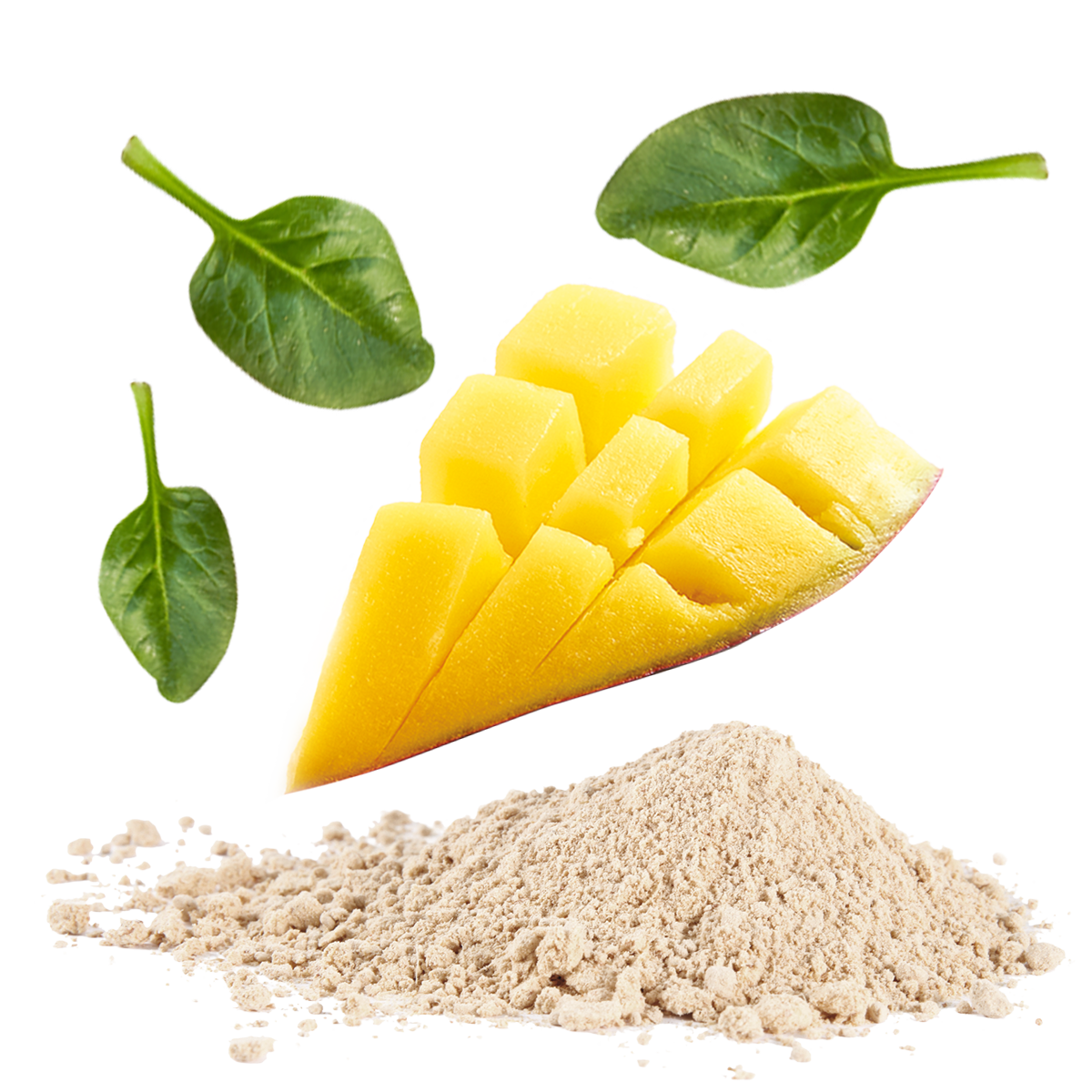 product composition image